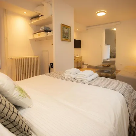 Salut Le Petit * カルカソンヌ